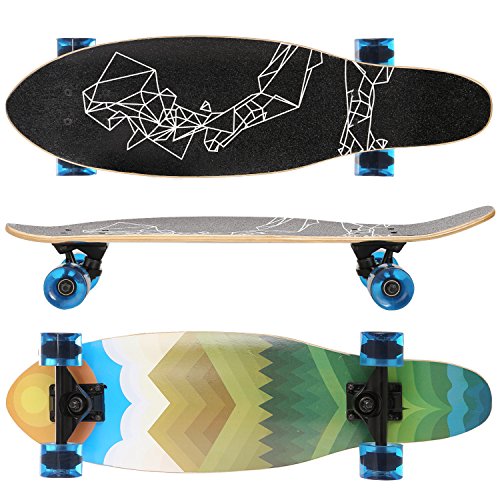 Dongchuan Cruiser Skateboard 27" Complete Durable Penny Boar