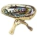 Alternative Imagination Hand Selected Premium Abalone Shell with Natural Wooden Cobra Stand