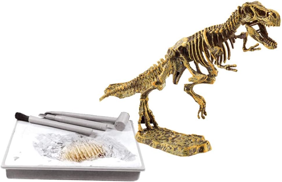 dinosaur dig kit science squad