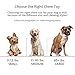 EETOYS Durable Squeaky Plush Dogs Toys with Chew Guard Rubber Ball for Small Dogs (Monkey-New)