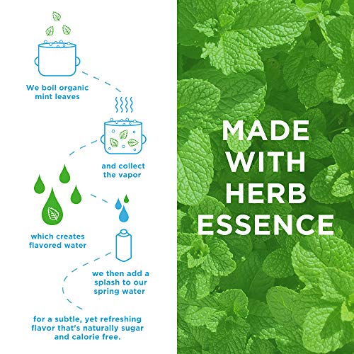 JUST Water Infused | Spring Water Flavored with Organic Essences | Eco-Friendly Boxed Bottled Water | Zero Sugar, Artificial Flavors, or Sweeteners, Alkaline pH of 8.0 | Mint, 16.9 oz (Pack of 12)
