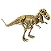 Paleo Expedition - Dino Excavation Kit - Tyrannosaurus Rex