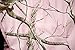 Carstens Real Tree AP Camo 3-Piece Crib Sheet Set, Pink
