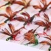 Sougayilang-Colorful-Assortment-Dry-Fly-Fishing-Flies
