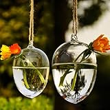 Soledi Hanging Round Egg Glass Clear Flower Vase Hydroponic Container Home Decor