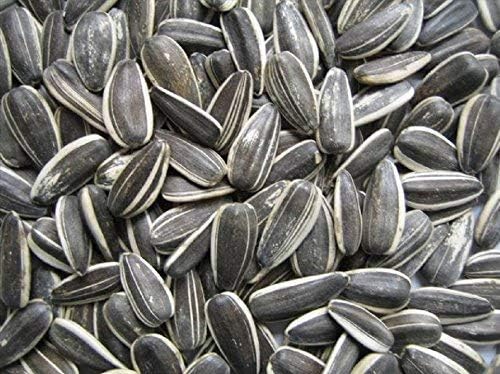 sunflower seeds raw unsalted