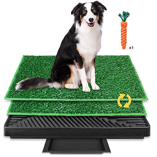 BRIAN & DANY Hundetoilette, Hundeklo Hundetoilette Balkon Trainingsunterlage mit 2X Hunde Pinkelmatte und Auffangschale für Drinnen und Draußen, 63 X 51 cm