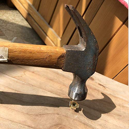 Yoohey 100pcs 1/4"-20 Inch T Nuts, Pronged Tee Nut for Cabinetry, Rock Climbing Walls, Woodworking (1/4"-20 x 5/16")