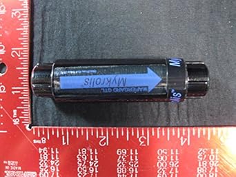 MYKROLIS WGFG01D01 WAFERGARD GTL FILTER MAS.PRESS. 0.41Mpa