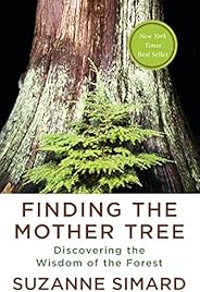 Finding the Mother Tree: Discovering the Wisdom of the Forest