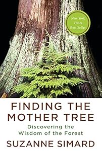Finding the Mother Tree: Discovering the Wisdom of the Forest book cover