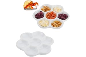 DQITJ 2 Pcs Hermit Crab Ceramic Food Dish, 7 Compartments Anti-turning Food & Water Bowl (White)