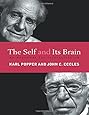 The Self and Its Brain: An Argument for Interactionism