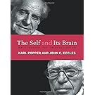The Self and Its Brain: An Argument for Interactionism