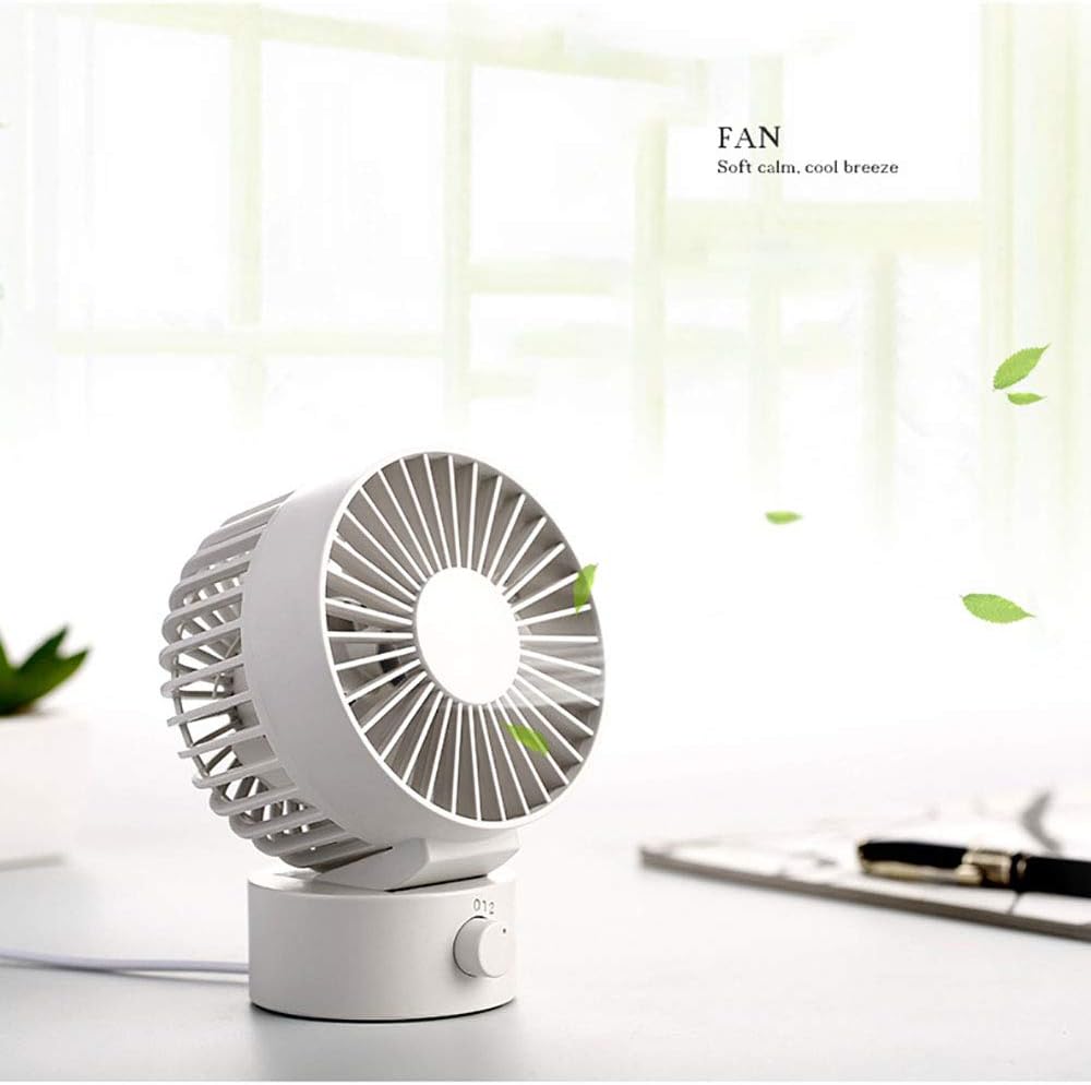 Riding the plus size wave case study answers 04 picture