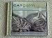 Cat Calm : Music to Comfort and Soothe