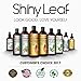 Moroccan Argan Oil Conditioner – Sulfate Free - Moisturizing Anti Hair Loss Treatment - Rejuvenates and Treats Damaged Hair, Adds Volume and Shine, 16 oz (473 ml)