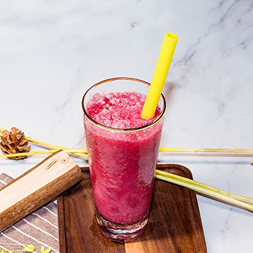 Mcool Silicone Straws 8Pcs Straight Smoothies straws for 30&20 oz Tumblers-Reusable Straws Extra Lon - //coolthings.us