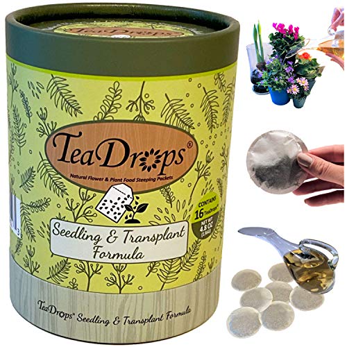 Top 10 Fertilizers For Seedlings of 2020 No Place Called Home