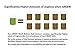 Original Green Black Walnut Hull Tincture (Extra Strength) by Dr. Hulda Clark, 2 oz - 2 Pack