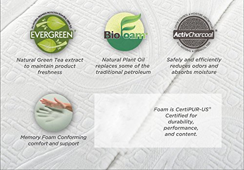 zinus weekender elite folding guest bed