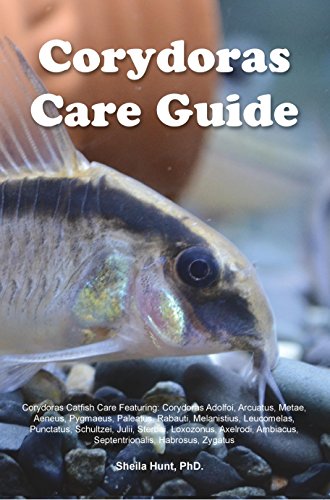 Corydoras Care Guide. Corydoras Catfish Care Featuring: Corydoras Adolfoi, Arcuatus, Metae, Aeneus, Pygmaeus, Paleatus, Rabauti, Melanistius, Leucomelas, Punctatus, Schultzei, Julii, Sterbai,