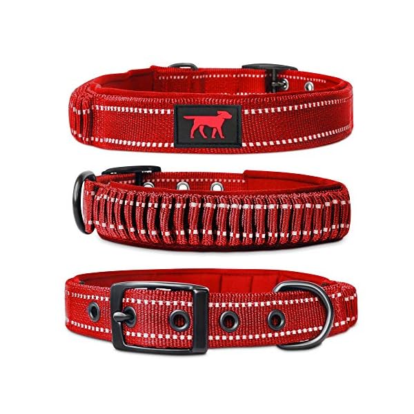 sturdy dog collars
