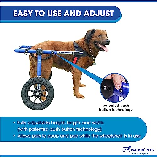 Dog Wheelchair For Large Dogs 70180 Pounds Veterinarian Approved Dog Wheelchair For Back