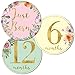 Newborn Baby Girl Gold Floral Milestone Stickers, 1st Year Belly Decals, Set of 12 Monthly Photo Props for Infant Onesie, Scrapbook Keepsake Shower Basket & Registry Gifts
