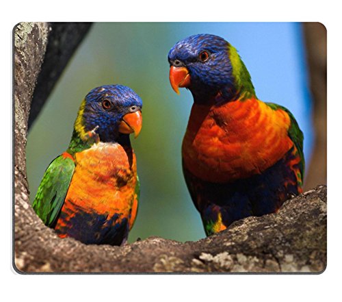MSD Customized Natural Rubber Mouse Pad Personalized Custom Picture The Rainbow Lorikeet Trichoglossus haematodus is a species of Australasian parrot Papua New Guinea New Caledonia Solomon Islands and