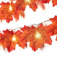 GiBot Thanksgiving Autumn Maple Light String 20 LED Light Fairy Light 8 Light Mode Switch (with Remote Control) 3AA Battery Powered for Room Decoration Birthday Party Wedding Girl Room Outdoor Garden