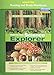Prentice Hall Science Explorer: From Bacteria to Plants (Guided Reading and Study Workbook)