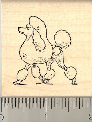 Poodle Dog Rubber Stamp