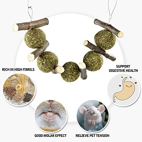 1 PETLAOO+Bunny+Improve+Dental+Health