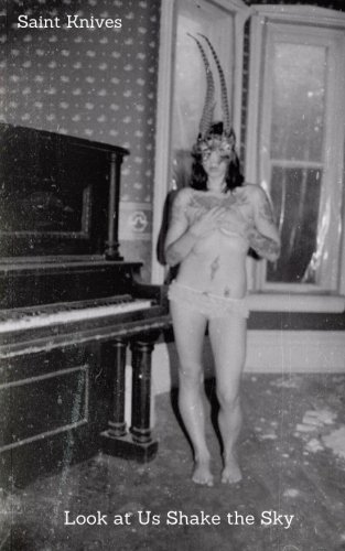 Look At Us Shake The Sky by Saint Knives