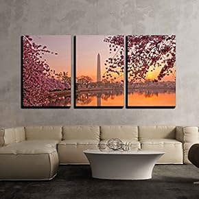 3 Piece Canvas Wall Art - Cherry Blossom Festival at The National Mall Washington, Dc - Modern Home Art Stretched and Framed Ready to Hang - 16"x24"x3 Panels