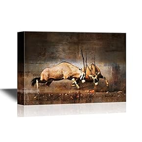 Wild Animal Canvas Wall Art - Intense Fight Between Two Male Gemsbok on Dusty Plains of Etosha - Gallery Wrap Modern Home Art | Ready to Hang - 12x18 inches