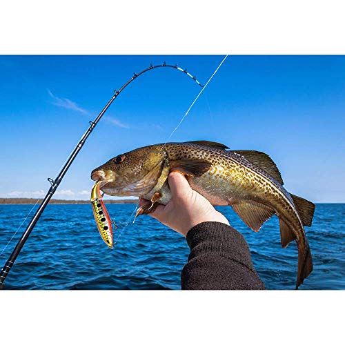 Jolicobo Lot De 2 Leurres De Pêche En Eau De Mer – 10 Cm – 15 G – Leurre De Pêche Artificiel – Crochet Rotatif – Grande…
