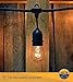 Outdoor Commercial String Globe Lights with Hanging Drop Sockets – 50ft – 24 Sockets and Bulbs Outdoor or Indoor. Great for Patio, Cafe, Party, Home, Bistro, Wedding, Backyard