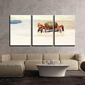 3 Piece Canvas Wall Art - The Crab on The Beach - Modern Home Art Stretched and Framed Ready to Hang - 16"x24"x3 Panels
