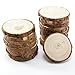 Natural Wood Slices 15 Pcs 3.5