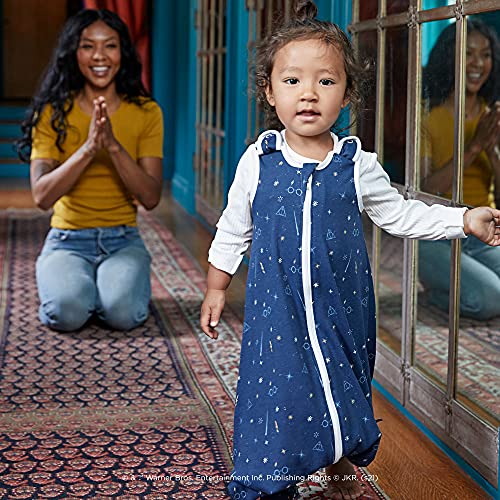 Ergobaby Sleeping Bag On The Move, Lightweight, Medium (618 Months