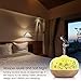 BESTEK Essential Oil Diffuser,300ml Glass Aroma Diffuser Ultrasonic Cool Mist Humidifier with Changing Colored LED Lights, Waterless Auto Shut-Off and Adjustable Mist Mode