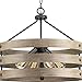 Gulliver Collection 4-Light Coastal Pendant Light Graphite