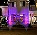 Gemmy Outdoor LightShow Spot Light - Fire & Ice (Purple) - 2 Pack (1)