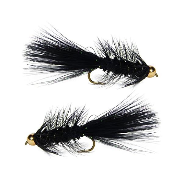 Woolly-Bugger-Trout-Fly-Fishing-Streamer-Assortment-6-Flies