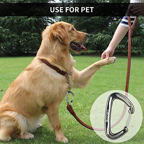 XINDA Carabiner Clip 12KN/2645lb 4pack,Heavy Duty Aluminium Alloy Carabiners for Hammock,Keychain Locking,Dog Leash,Outdoor Hiking(Gray 4PC)
