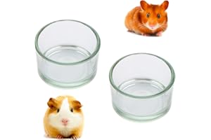 DQITJ 2 Pcs Hamster Food and Water Bowl Glass Anti-Turning Transparent Dish for Hamster and Other Small Pet