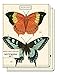 Cavallini Papers & Co. Notebook Set Birds & Butterflies 96 Pages 2 Notebooks Packaged Together As One Set, 4 x 5