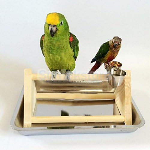 Wooden PLAY STAND Perch gym parrot bird cages toy Conure Cockatiels Parakeet